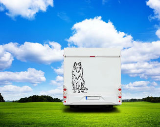 Produktbild von Amberdog Wandtattoo Groenendael Auto Wohnmobil Aufkleber Weiß 30cm