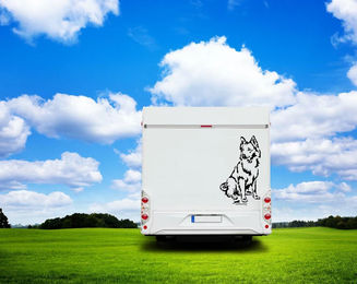 Produktbild von Amberdog Wandtattoo Harzer Fuchs Auto Wohnmobil Aufkleber Weiß 30cm
