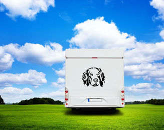 Produktbild von Amberdog Wandtattoo Hovawart Kopf Auto Wohnmobil Aufkleber Weiß 20cm