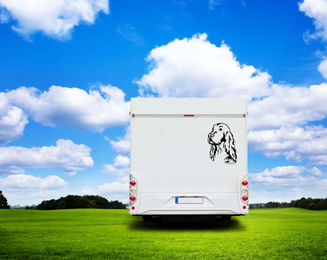 Produktbild von Amberdog Wandtattoo Irish Setter Kopf Wohnmobil Aufkleber Schwarz 30cm
