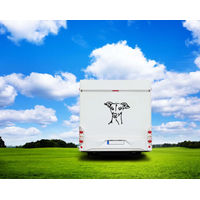 Produktbild von Amberdog Wandtattoo Italienisches Windspiel Kopf Auto Wohnmobil Aufkleber Schwarz 30cm
