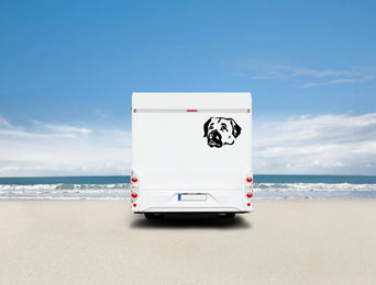 Produktbild von Amberdog Wandtattoo Kangal Hund Aufkleber für Auto und Wohnmobil Weiß 30cm