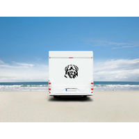 Produktbild von amberdog Wandtattoo Kaukasier Kopf Auto Wohnmobil Aufkleber Weiß 30cm