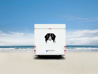 Produktbild von Amberdog Wandtattoo Kooikerhondje Aufkleber für Auto und Wohnmobil Schwarz 30cm