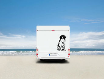 Produktbild von Amberdog Wandtattoo Kooikerhondje Auto Wohnmobil Aufkleber Weiß H30cm