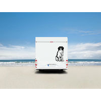 Produktbild von Amberdog Wandtattoo Kooikerhondje Auto Wohnmobil Aufkleber Weiß H30cm