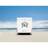 Produktbild von Amberdog Wandtattoo Kuvasz Hund Aufkleber für Auto und Wohnmobil Weiß 20cm
