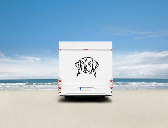 Produktbild von Amberdog Wandtattoo Kuvasz Kopf Aufkleber für Auto und Wohnmobil Schwarz 30cm