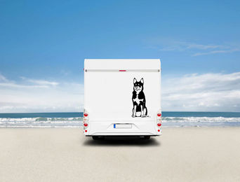 Produktbild von Amberdog Wandtattoo Lappländischer Rentierhund Auto Wohnmobil Aufkleber Weiß 20cm