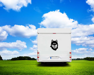 Produktbild von Amberdog Wandtattoo Malamut Kopf Aufkleber für Auto und Wohnmobil Weiß 30cm