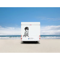 Produktbild von Amberdog Wandtattoo Münsterländer Auto Wohnmobil Aufkleber Weiß H30cm