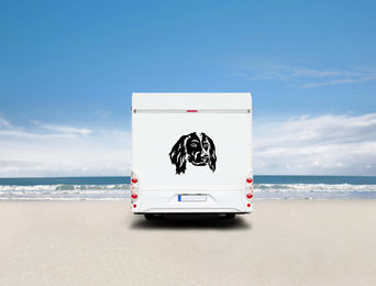 Produktbild von Amberdog Wandtattoo Münsterländer Kopf Wohnmobil Aufkleber Weiß 20cm