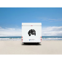 Produktbild von Amberdog Wandtattoo Münsterländer Kopf Wohnmobil Aufkleber Weiß 20cm