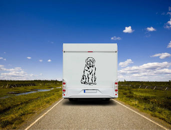 Produktbild von Amberdog Wandtattoo Neufundländer Auto und Wohnmobil Aufkleber Weiß 20cm