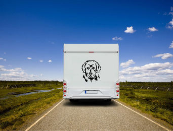 Produktbild von Amberdog Wandtattoo Neufundländer Kopf Aufkleber für Auto und Wohnmobil Weiß 30cm