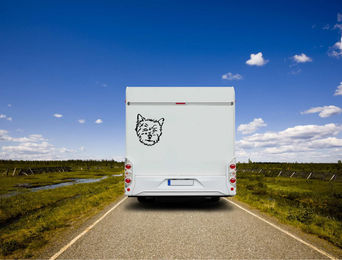 Produktbild von Amberdog Wandtattoo Norwich Terrier Kopf Aufkleber für Auto und Wohnmobil Schwarz 50cm