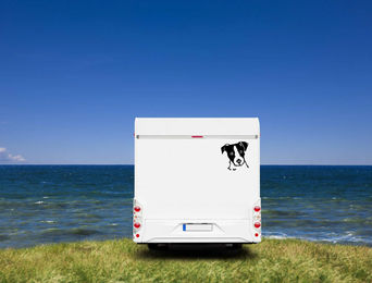 Produktbild von Amberdog Wandtattoo Parson Russell Terrier Kopf Aufkleber für Auto und Wohnmobil Weiß 50cm