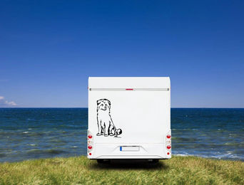 Produktbild von Amberdog Wandtattoo Pyrenäen-Schäferhund Berger des Pyrénées Wohnmobil Aufkleber Weiß 30cm