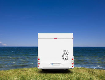 Produktbild von Amberdog Wandtattoo Rauhaardackel Aufkleber für Auto und Wohnmobil Weiß 30cm