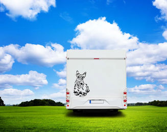 Produktbild von Amberdog Wandtattoo Scottish Terrier Aufkleber für Auto und Wohnmobil Weiß 30cm