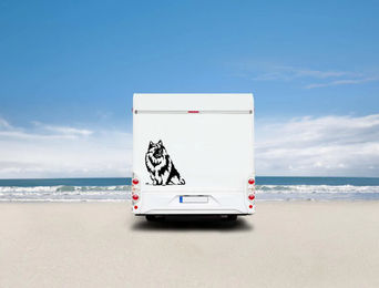 Produktbild von Amberdog Wandtattoo Wolfsspitz Auto Wohnmobil Aufkleber Schwarz 30cm