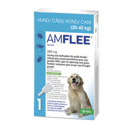 Amflee 268 mg Lösung zum Auftropfen für große Hunde 20-40kg 3er Pack – Bild 1 von 1