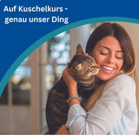 Produktbild von Amflee Combo Lösung zum Auftropfen für Katzen 50 mg/60 ml