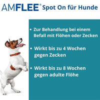 Produktbild von Amflee Spot-On 134 mg zur Bekämpfung von Zecken, Flöhen und