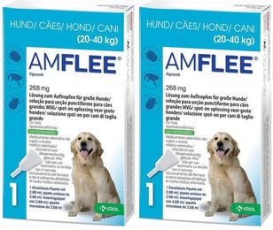 Amflee Spot-On gegen Flöhe und Zecken für große Hunde 268 mg – Bild 1 von 4