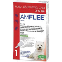 Produktbild von Amflee Spot-On Lösung für kleine Hunde 2-10 kg 3 Stück