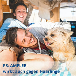 Amflee Spot-On Lösung gegen Flöhe und Zecken für große Hunde – Bild 1 von 3