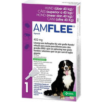 Produktbild von Amflee Spot-On Lösung gegen Flöhe und Zecken für große Hunde
