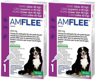 Produktbild von Amflee Spot-On Lösung gegen Flöhe und Zecken für große Hunde