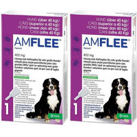 Produktbild von Amflee Spot-On Lösung gegen Flöhe und Zecken für große Hunde