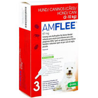 Produktbild von Amflee Spot-On Lösung gegen Flöhe und Zecken für kleine Hunde zur Pflege von Haut und Fell