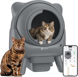 AmiCura Selbstreinigende Katzentoilette XXL mit WiFi für Katzen in Schwarz oder Grau – Bild 1 von 5