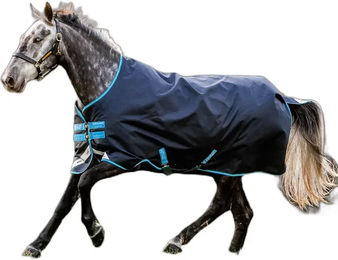 Produktbild von Amigo Bravo 12 Original Outdoor-Pferdedecke von AMI in Blau 155/206 cm