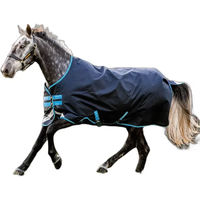 Produktbild von Amigo Bravo 12 Original Outdoor-Pferdedecke von AMI in Blau 155/206 cm