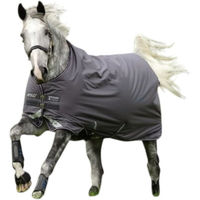Produktbild von Amigo Bravo 12 Original Regendecke Horseware Ireland Excal Plum & Silver 155 (6'9)