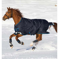 Produktbild von Amigo Bravo 12 Original Weidedecke für Pferde Horseware Ireland 100g Black/Titanium Grey & Silver Grösse 140 (6'3)