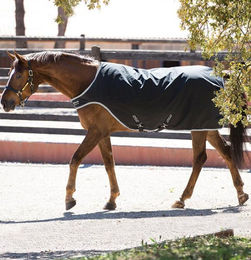 Amigo Walker Rug Führanlagendecke Horseware Ireland Schwarz/Silber Größe L (145-155 cm) - 200 g – Bild 1 von 1