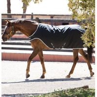 Produktbild von Amigo Walker Rug Führanlagendecke Horseware Ireland Schwarz/Silber Größe L (145-155 cm) - 200 g