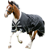 Produktbild von Amigo Weidedecke Turnout Decke 1200D Black/Titanium Grey & Silver 165 cm