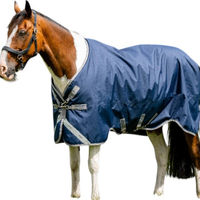 Produktbild von Amigo Weidedecke Turnout Decke 1200D Navy/Titanium Grey & Silver 165 cm