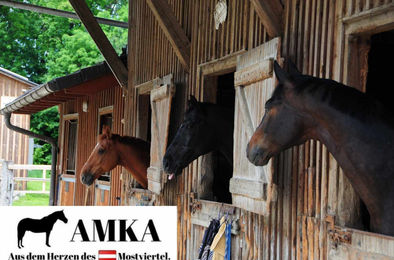 AMKA Skijöring Set Halfter und Stricke aus Leder in Schwarz – Bild 1 von 1