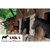 Produktbild von AMKA Skijöring Set Halfter und Stricke aus Leder in Schwarz
