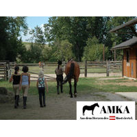 Produktbild von AMKA Wildleder Reitpad für Warmblut aus Leder