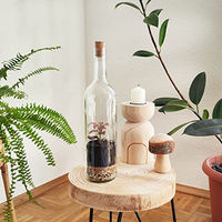 Produktbild von Amo Naturaleza Pflanzenterrarium Kit 30cm