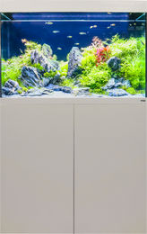 Amtra ALUX 220 LED Aquarienkombination Weiß für Süßwasser und Salzwasser mit Holzschrank und Deckel - 220 l – Bild 1 von 6