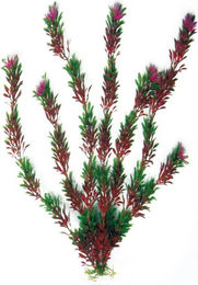 Produktbild von Amtra Aquariumpflanze Bicolour aus Kunststoff für Fische 27cm